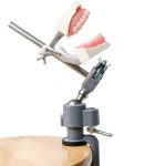Dentalmall Training Mount Fixed Typodont Stand Stainless Steel 360°-0