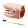 Oral Anatomy Puppet Aiocoid Dental Model Soft Silicone with Toothbrush-3