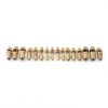 XX Dental Model 32 Ivorine Teeth, Gums, Spring Joint for Columbia 860-3