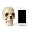 NEW HORIZON 15‑Piece Mini Human Skull Model PVC Educational Anatomy-3