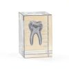 ZITREOXN 3DTM-T Dental Model Crystal Tooth Educational Tool-0