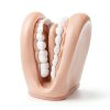 Oral Anatomy Puppet Aiocoid Dental Model Soft Silicone with Toothbrush-6