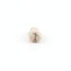 XX Dental Model 32 Ivorine Teeth, Gums, Spring Joint for Columbia 860-6