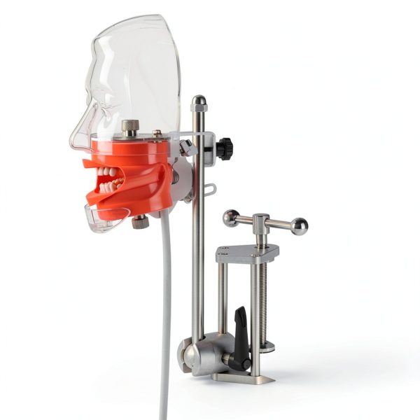 Ultrassist Dental Manikin with Transparency Mask 32 Tooth Typodont-6