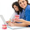 Dental Model Ceonam Silica Gel Removable Teeth Educational Kit-5