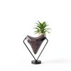 Fiwochic Megalodon Tooth Display Stand Metal Holder Model XEU-0837-6