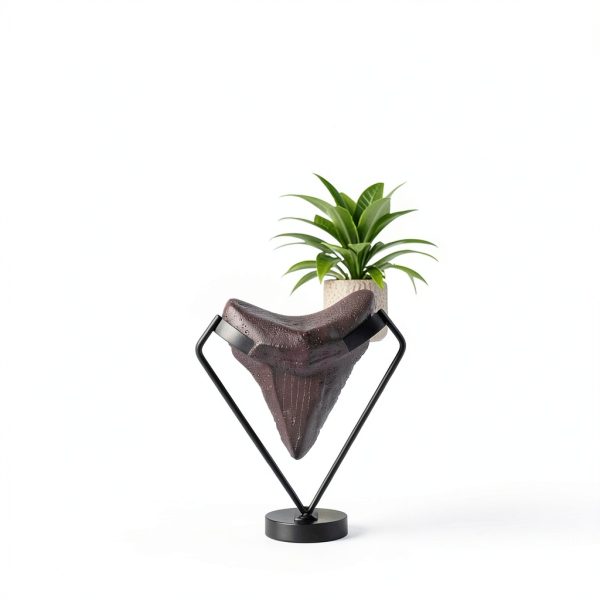 Fiwochic Megalodon Tooth Display Stand Metal Holder Model XEU-0837-6