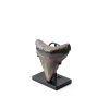 Chunful Adjustable Metal Fossil Display Stand MZ‑Chunful‑4270 Black-2