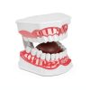 Dental Hygiene Model Practicon 2X Life Size with Moveable Tongue-0