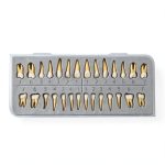 Aiocoid Dental Model 28‑Piece 1:1 Scale Resin Dual‑Color Kit-0