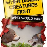 Grey Whale Kids Mystery eBook 40-Page Animal Adventure Ages 8-12-0