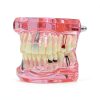 Dental Implant Model 2001P by XINGXING Fixed Prosthetic Demo Kit-0
