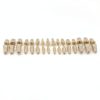 XX Dental Model 32 Ivorine Teeth, Gums, Spring Joint for Columbia 860-7