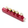Sprucedent Periodontal Disease Model 6‑Stage Dental Educational Tool-3