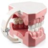 SDX Silicone Dental Model 5007FBA001 Child Toothbrush Training Toy-1