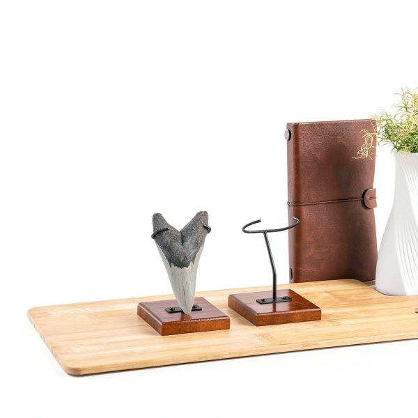 Megalodon Tooth Display Stand Chunful Metal Wood Model MZ 5912-2