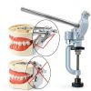 Dentalmall Training Mount Fixed Typodont Stand Stainless Steel 360°-1