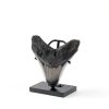 Chunful Adjustable Metal Fossil Display Stand MZ‑Chunful‑4270 Black-3