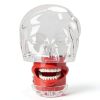 Ultrassist Dental Manikin with Transparency Mask 32 Tooth Typodont-3