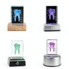 ZITREOXN 3DTM-T Dental Model Crystal Tooth Educational Tool-3