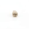 XX Dental Model 32 Ivorine Teeth, Gums, Spring Joint for Columbia 860-5