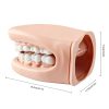 Oral Anatomy Puppet Aiocoid Dental Model Soft Silicone with Toothbrush-4