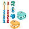 Dental Teeth Model Skylety Teaching Set with Brush and Cards-1