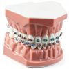 Dentalmall Silicone Dental Model 1:1 Tooth Replica with Braces-1