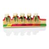 Dentalmall Periodontitis Model 4010 Cross Section Dental Educational-5