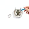 Dental Teaching Model Ceonam 28 Detachable Resin Teeth with Soft Gums-3