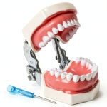 Dental Teaching Model Ceonam 28 Detachable Resin Teeth with Soft Gums-0