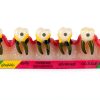 ZITREOXN Soft Skin Periodontitis Dental Model Resin 5‑Stage-1