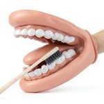 Oral Anatomy Puppet Aiocoid Dental Model Soft Silicone with Toothbrush-0
