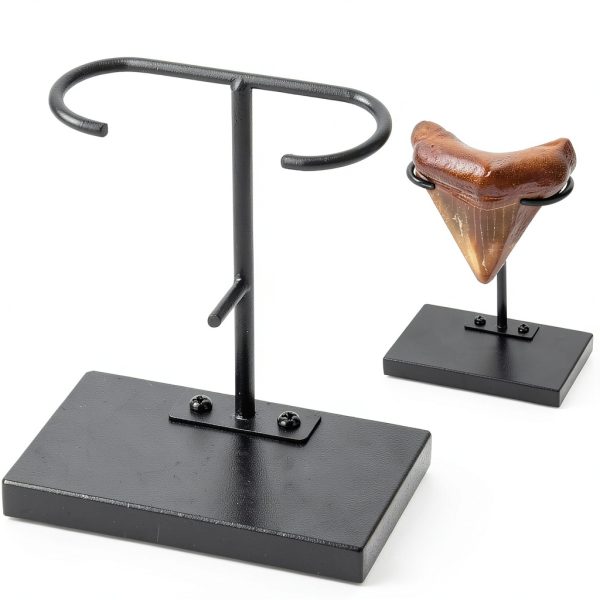 Shark Tooth Display Stand Chunful Metal Base MZ-Chunful-4282 Size 2-0