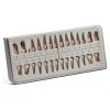 Aiocoid Dental Model 28‑Piece 1:1 Scale Resin Dual‑Color Kit-6