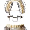 Dental Implant Model 2001C by Dentalmall Fixed Prosthetic Kit-3