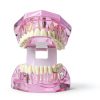 Outus Pink Dental Pathology Tooth Model 2.76" x 2.48" Size 1-3