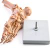 QWORK Life Size Human Foot Skeleton Model PVC Articulated Educational-1