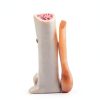 Kebobo Human Knee Anatomical Model with Ligaments PNKB111-5