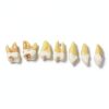 Xingxing Dental Model Teeth Set 28 Artificial Teeth for Beginners-7