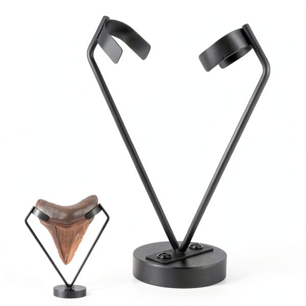Fiwochic Megalodon Tooth Display Stand Metal Holder Model XEU-0837-0